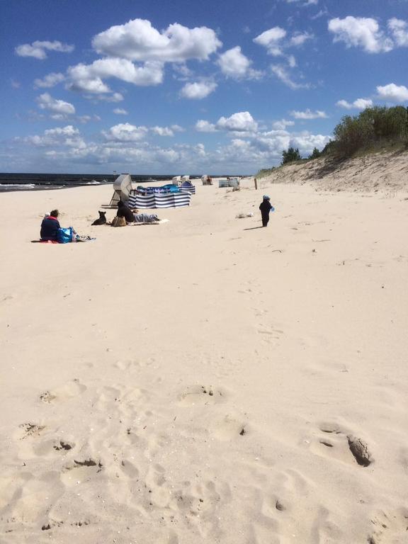 Ferienwohnung Strandwurzel زيمبين المظهر الخارجي الصورة